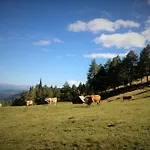 Biohof Laussnitzer In Rennweg Rennweg am Katschberg