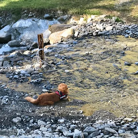 Feriegård Biohof Laussnitzer In Rennweg