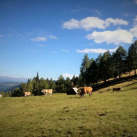 Biohof Laussnitzer In Rennweg Rennweg am Katschberg