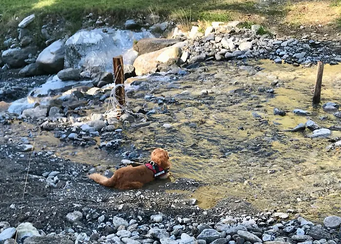 Agroturismo Biohof Laussnitzer In Rennweg